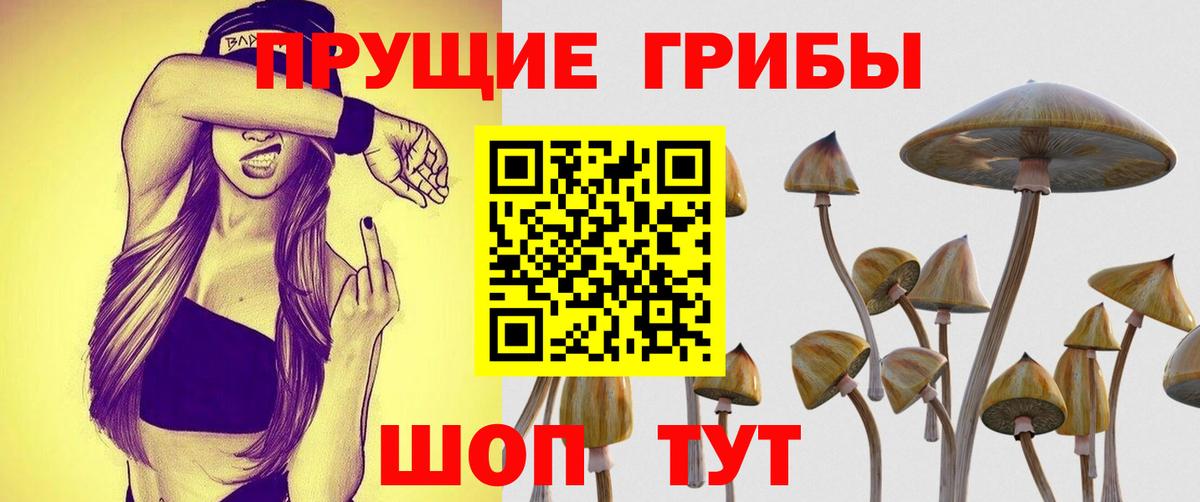 Галлюциногенные грибы MAGIC MUSHROOMS Коломна
